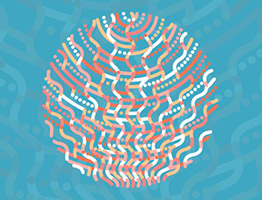 The Dilin Duwa Centre for Indigenous Business Leadership Engagement