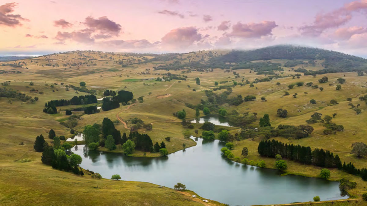 Impact Investing for Nature at Caddigat Road | Centre for Sustainability and Business | Melbourne Business School