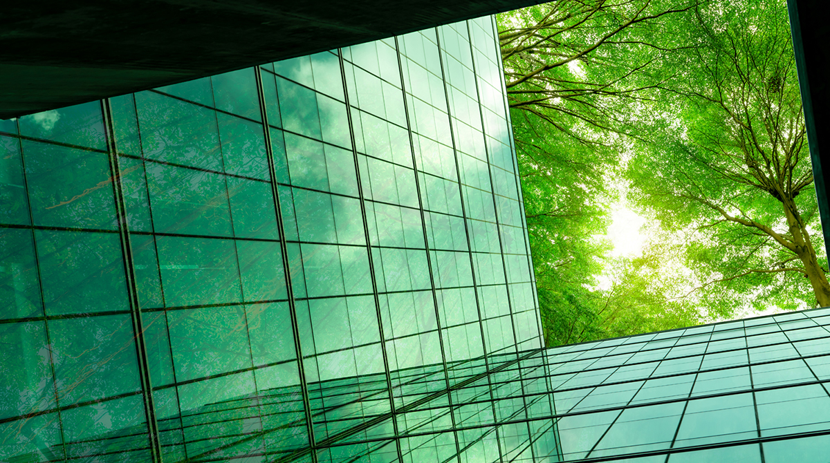 Sustainability for Strategic Advantage listing image