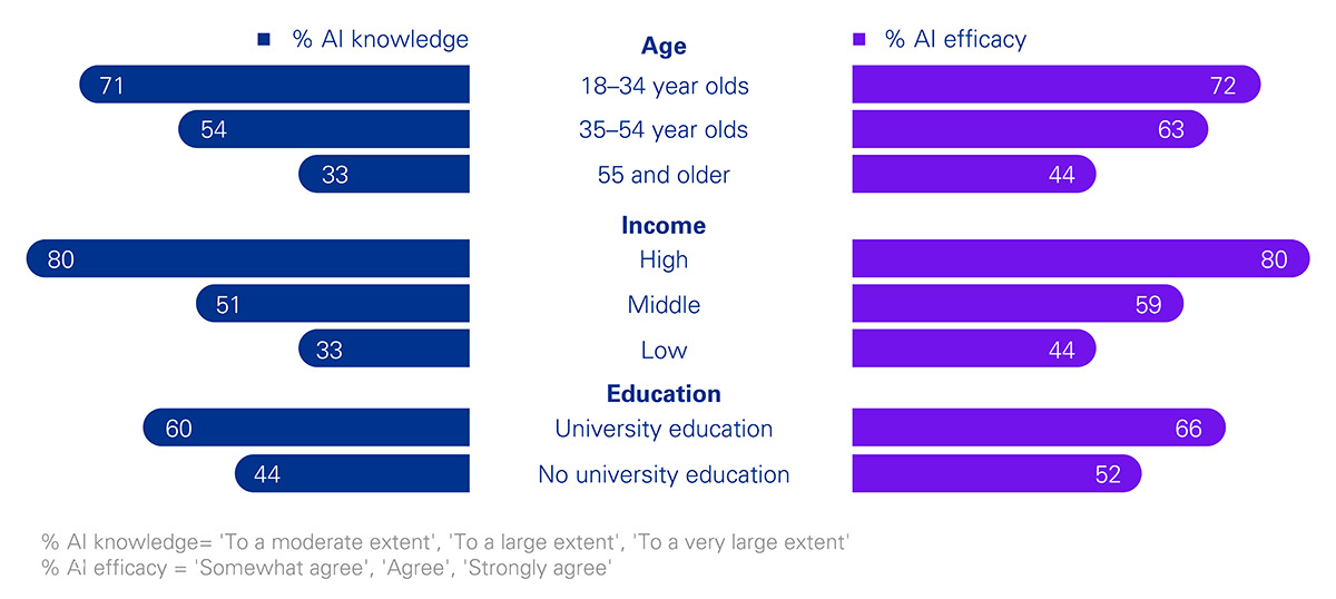 AI knowledge and AI efficacy by age income and education