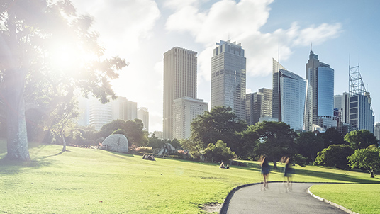 Specialist corporate learning centre in Melbourne with sun flare 